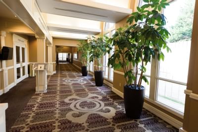 hallway with windows and plants