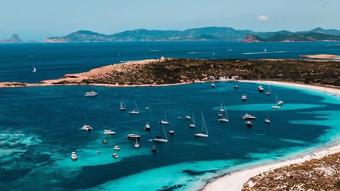 Posidonia and Beach Formentera