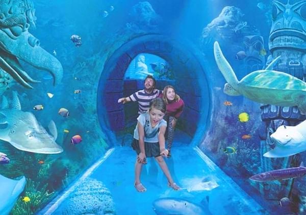 People enjoying SEA LIFE Orlando Aquarium near Lake Buena Vista Resort Village & Spa