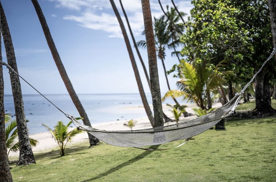 Mesh hammock hanging by tall palms over a green lawn under the bright sky near the beach at Tambua Sands Beach Resort