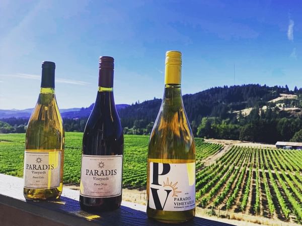 Paradis Vineyards Wine