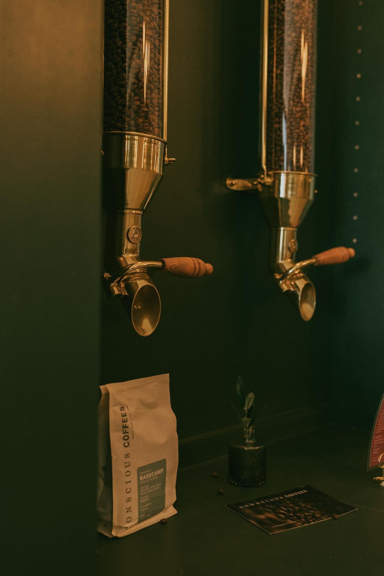 Two glass dispensers for coffee beans mounted on a dark green wall, with a bag of coffee and a small plant nearby.