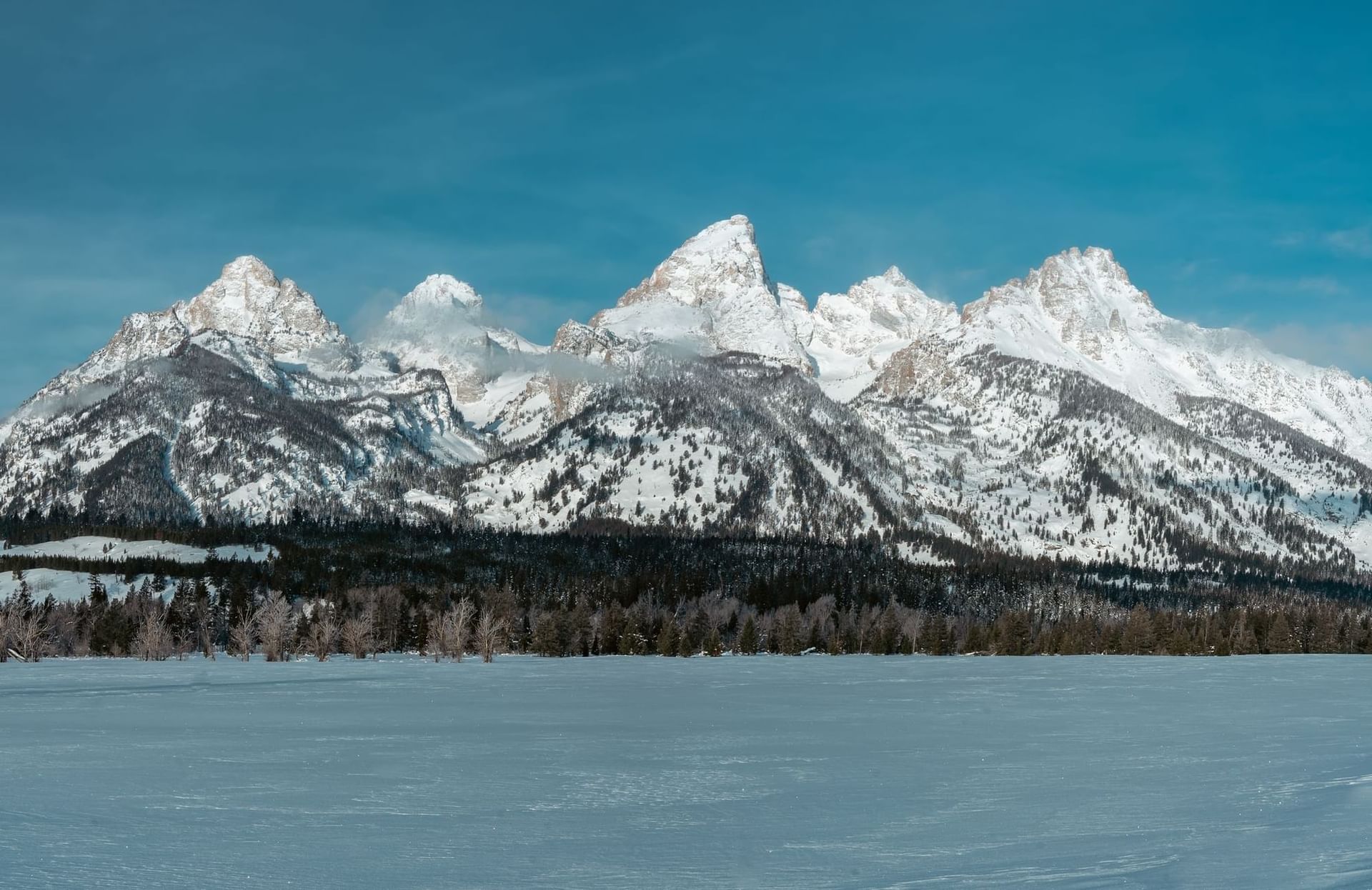 Hotel Jackson | Jackson Hole Hotels