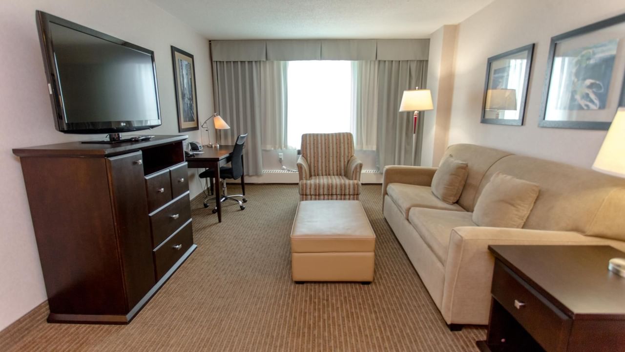 Premium Suite Queen Limited Kitchenette