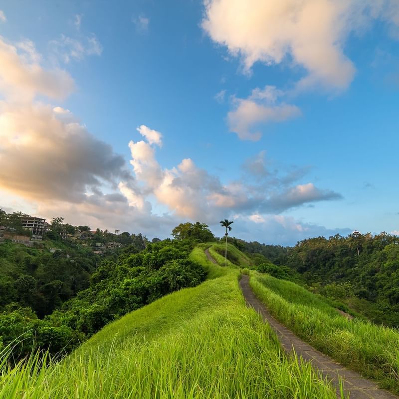 Campuhan Ridge Walk - WARWICK CORPORATE