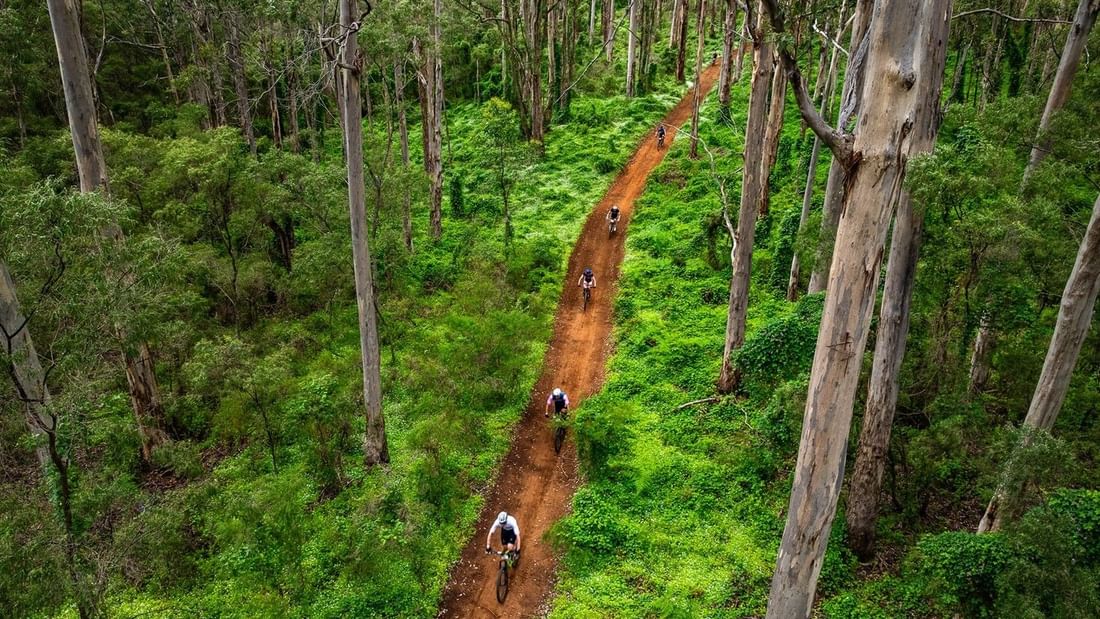 Aerial view of mountain bikers riding along a red dirt trail through lush green forest during Cape to Cape MTB 2026