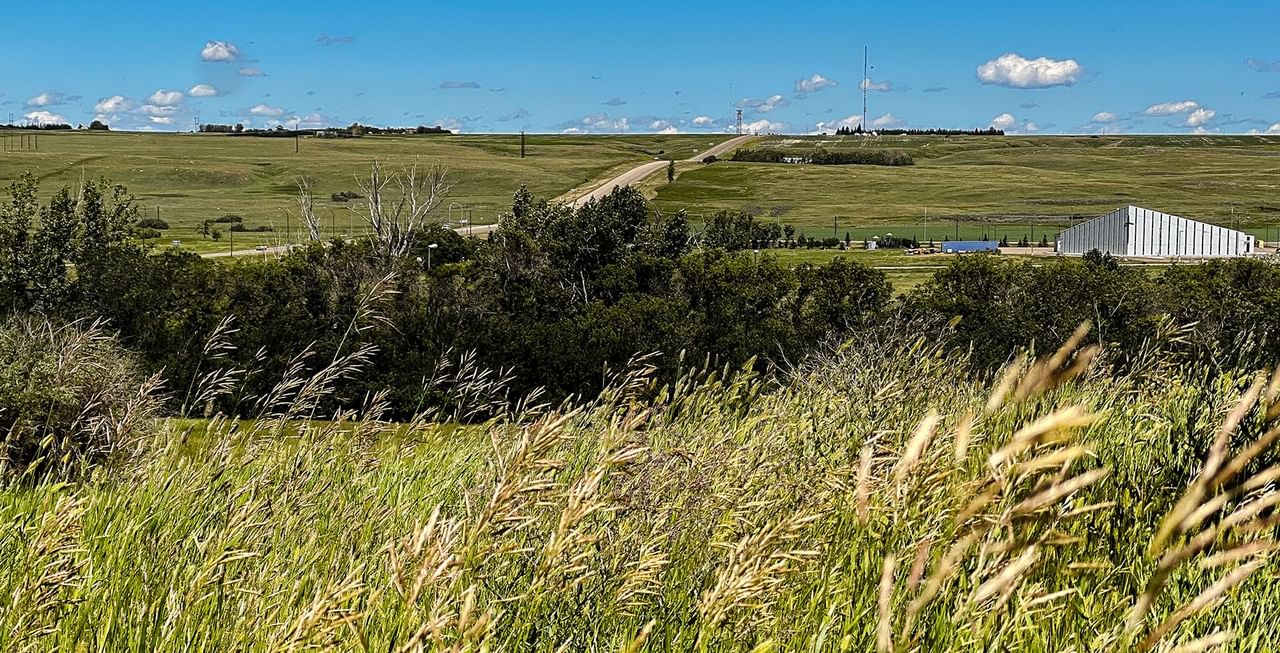 View of field and sky