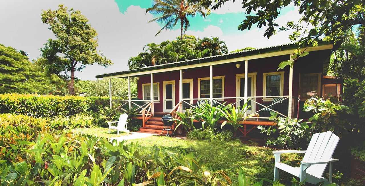 Red cottage surrounded by trees