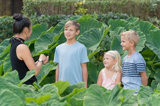 Family in the garden at Ka'anapali Beach Hotel Hawaii