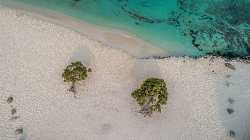 Aerial view of the coastline & beach near Amsterdam Manor Beach Resort Aruba