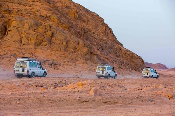 Desert Safari