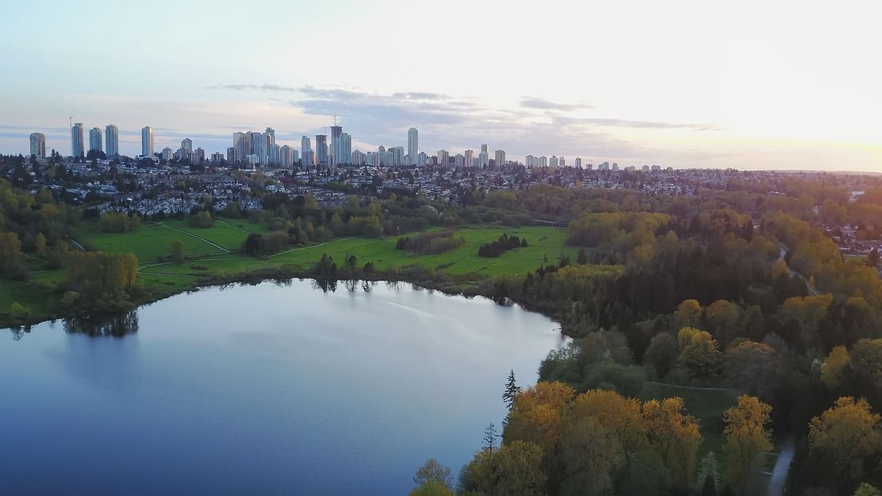 Aerial View of Deer Lake