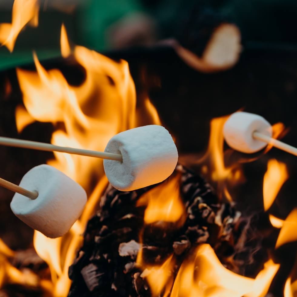 Marshmallows on sticks toasting over an open flame at Falkensteiner Hotels and Residences