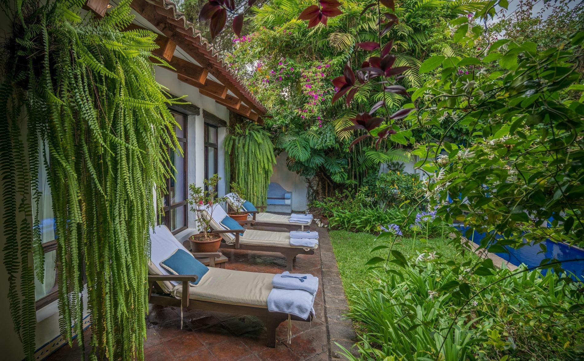 garden and swimming pool perfect to take the sun