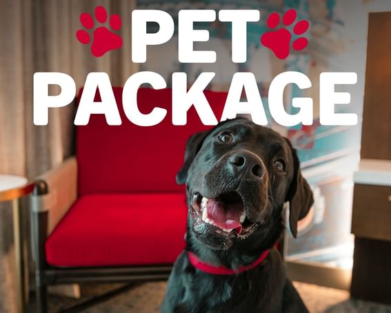 Pet package poster used at Hotel 43