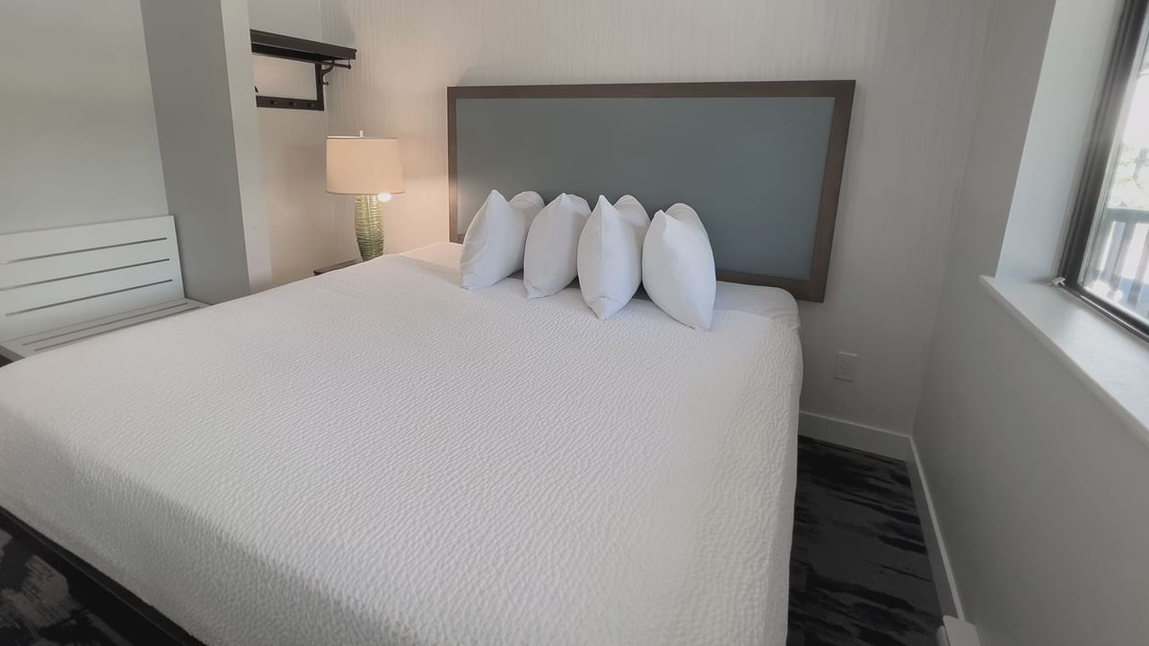 Guest bedroom with King ped, four pillows, a lamp, side table and window view