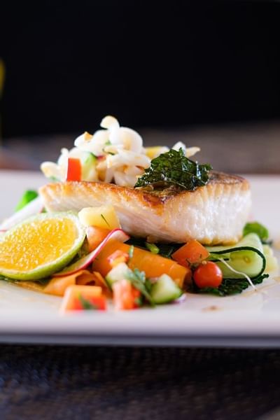 Seared fish fillet on a bed of vegetables on a plate at Musket Cove Island Resort & Marina