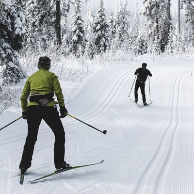 a pair of people cross-country skiing