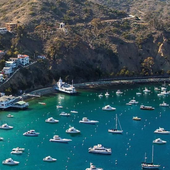 Aerial view of a coastal bay with boats and buildings near Catalina Island Company