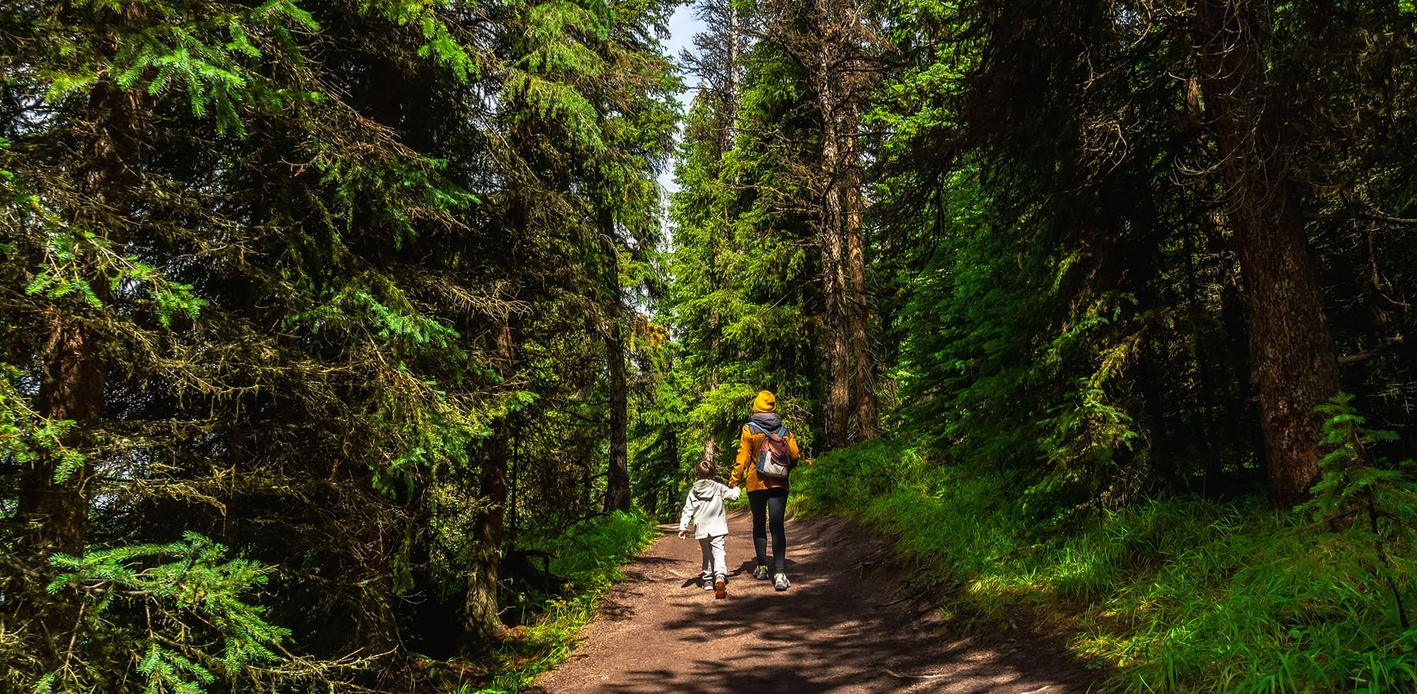 Mother and child walking on a narrow dirt path under a dense canopy of tall pine trees near Coast Whitecourt Hotel