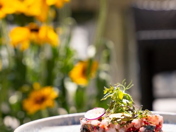 Seabass tartare, raspberry and wakame