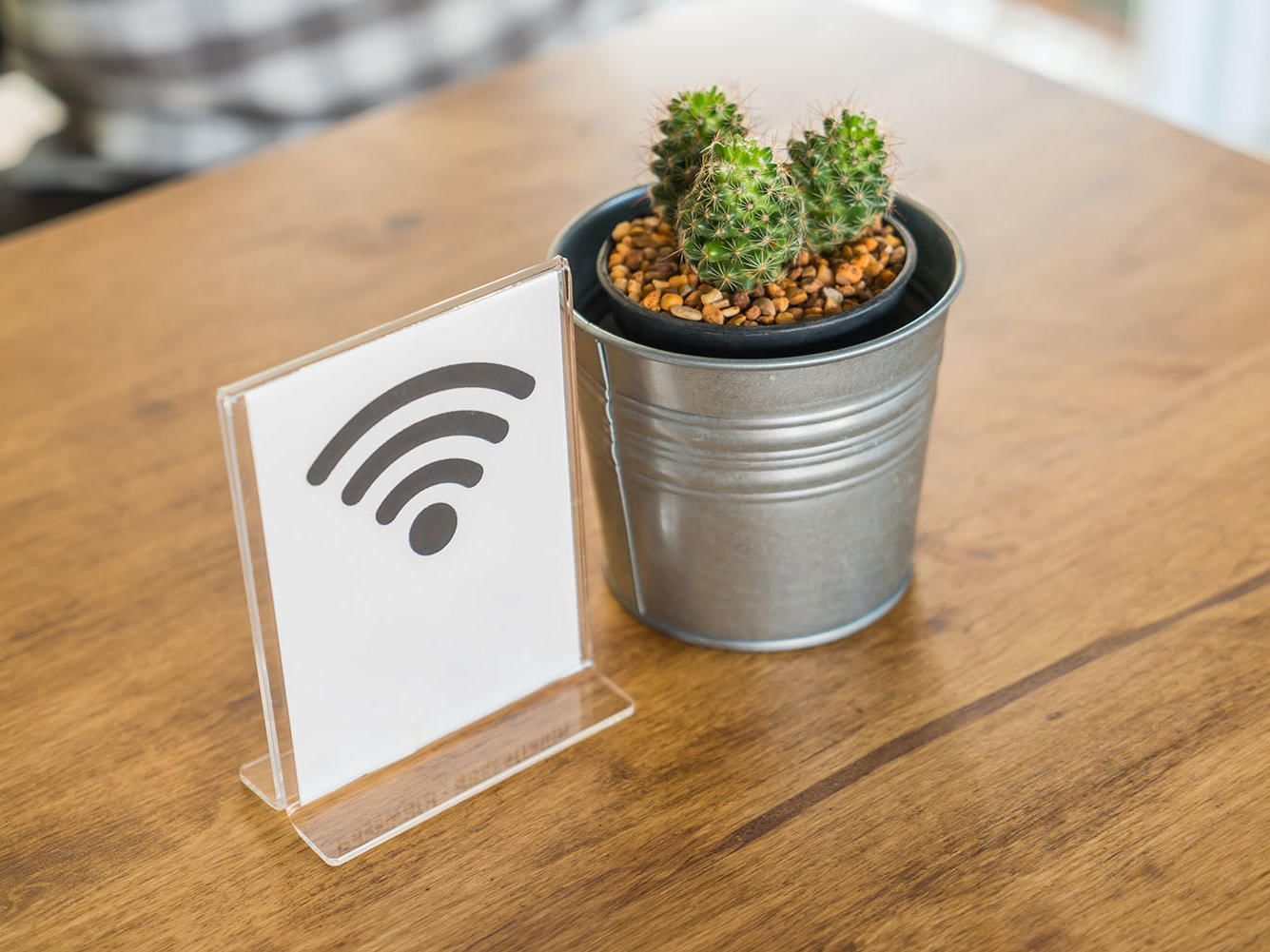 A free WIFI sign on a table by a cactus plant at DOT Hotels