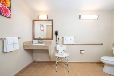 Accessible bathroom with shower chair, grab bars, granite vanity, and white towels at Rosen Inn International