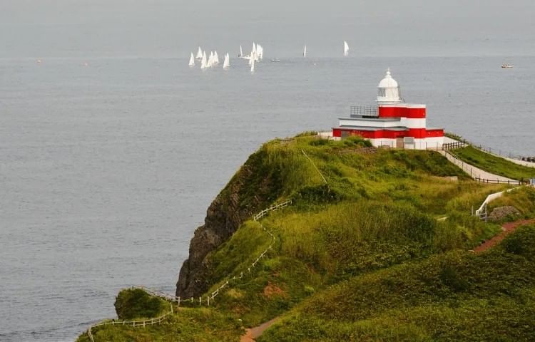 Best View In Otaru | Grand Park Otaru | Otaru Shukutsu Panorama Observation