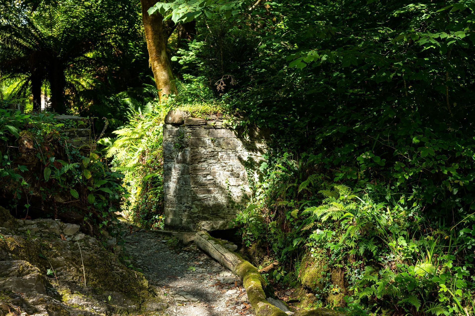 Views from Liss Ard Estate in Skibbereen, Ireland