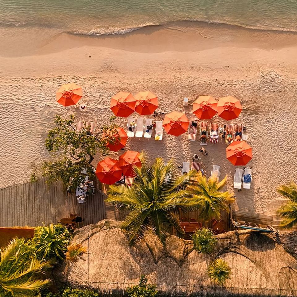 Aerial view of people lounging along the shore surrounded by trees at Paradise Beach Hotel