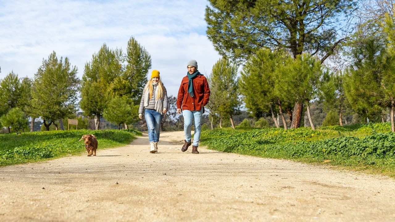 Two people walking a dog on a forest path.