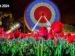 Ferris wheel in Nightfest 2024 near Knightsbridge Canberra