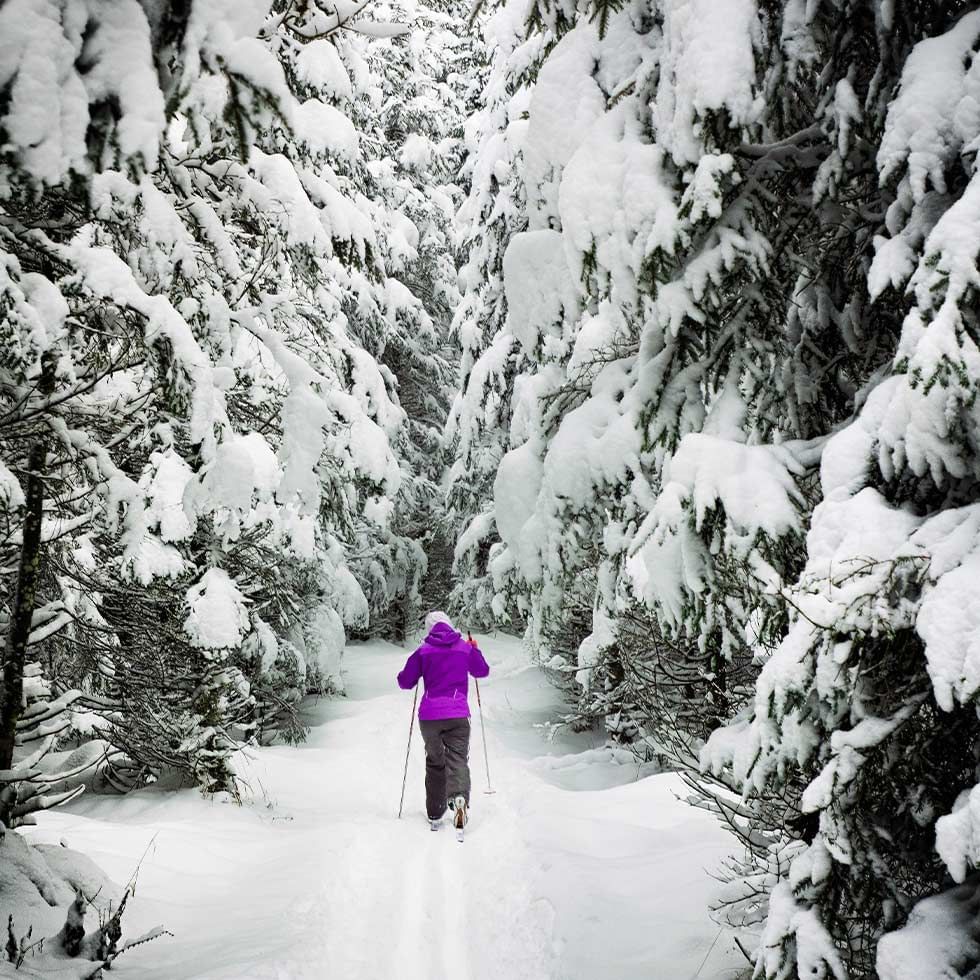 A Cross-country skier near Falkensteiner Hotels