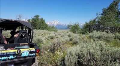 Scenic Safaris rentals