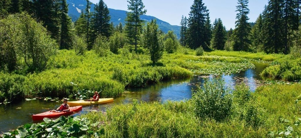 Kayakers paddling through a scenic wetland surrounded by forest in Whistler