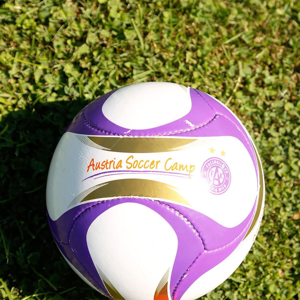 Purple and white soccer ball with 