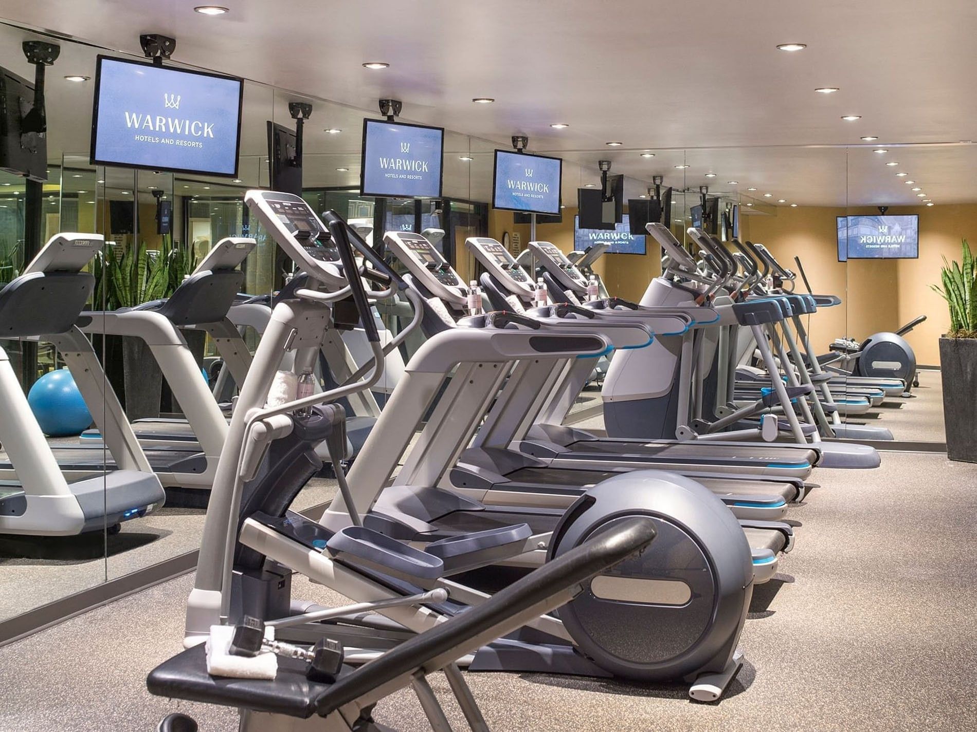 Gym with treadmills and ellipticals in rows, TVs on walls, and mirrors at Warwick Seattle
