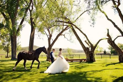Bride and groom walking with a horse on a sunny lawn at The Ranch at Ucross, surrounded by large trees