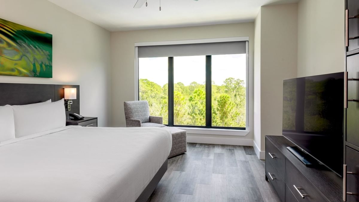 Terraces King Studio 