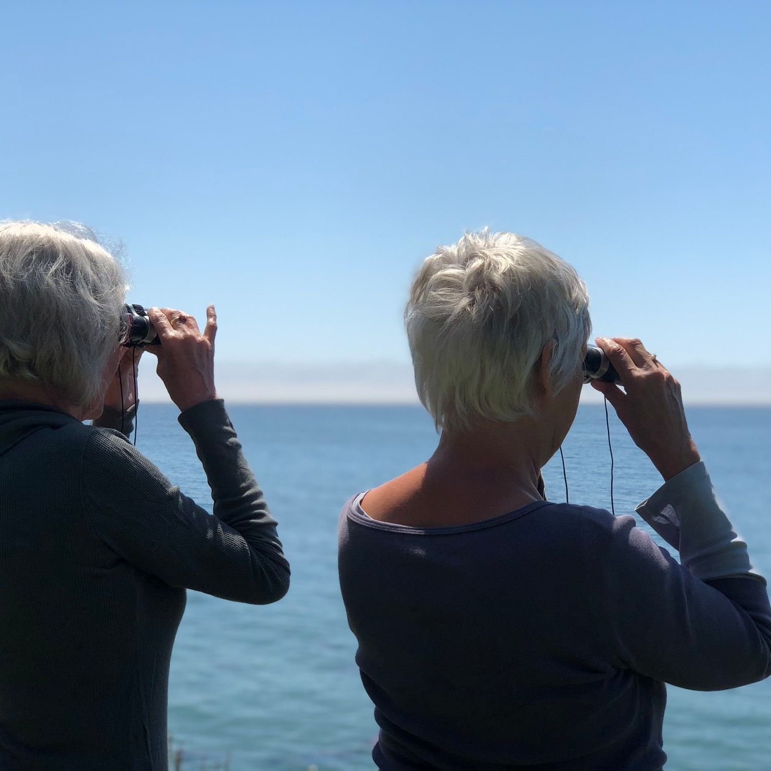 Women looking for wildlife through binoculars at the ocean in Pismo Beach