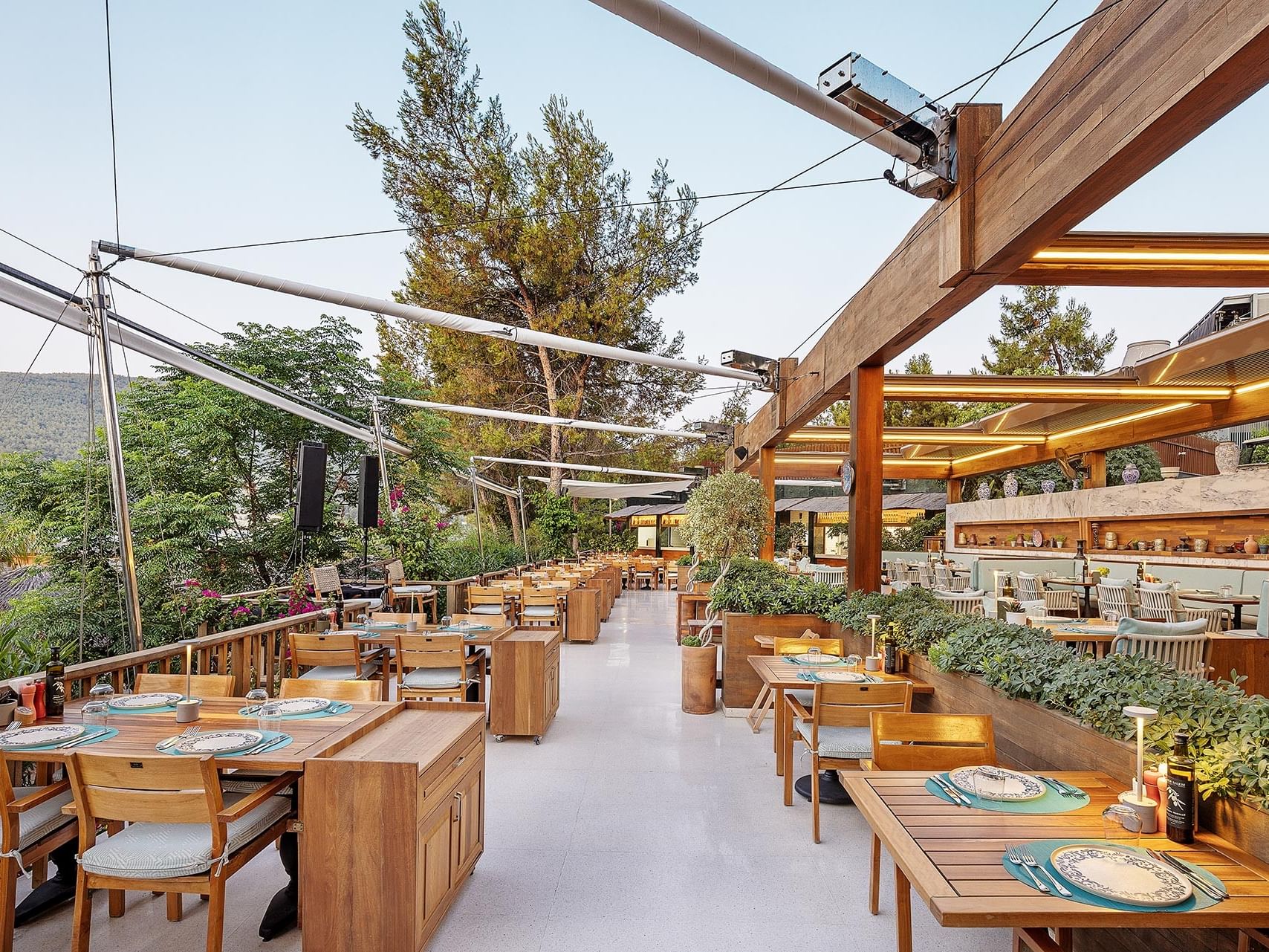 A beautiful open-air restaurant view at Titanic Luxury Collection Bodrum, with tables, chairs, trees, and ambient lighting.