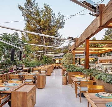 Открытый ресторан Hasir à la carte, утопающий в зелени — гастрономический оазис в Titanic Luxury Collection Bodrum