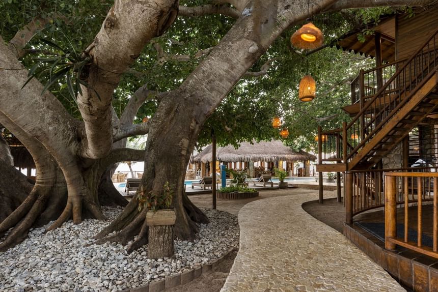 Woodhouse with an outdoor swimming pool at Hotel Isla Del Encanto