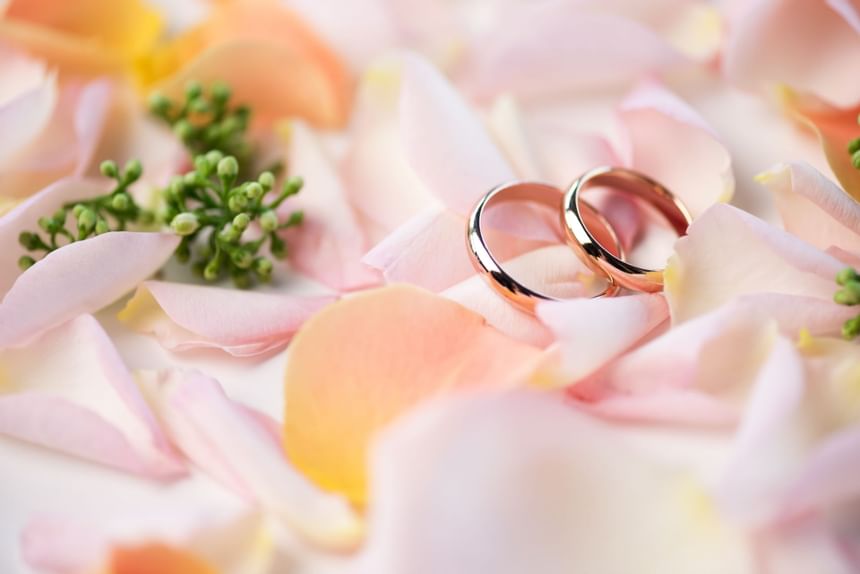 Close up on couple's rings on flower petals at Gilman Event
