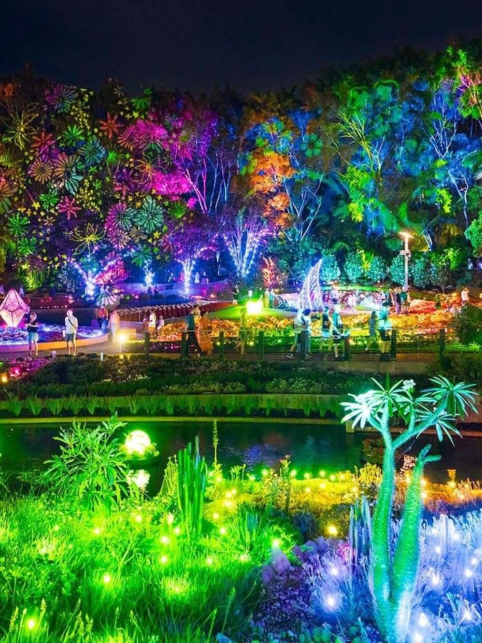 Vibrant multicolored lights illuminate trees and gardens reflected in a tranquil pond at a festive outdoor display.
