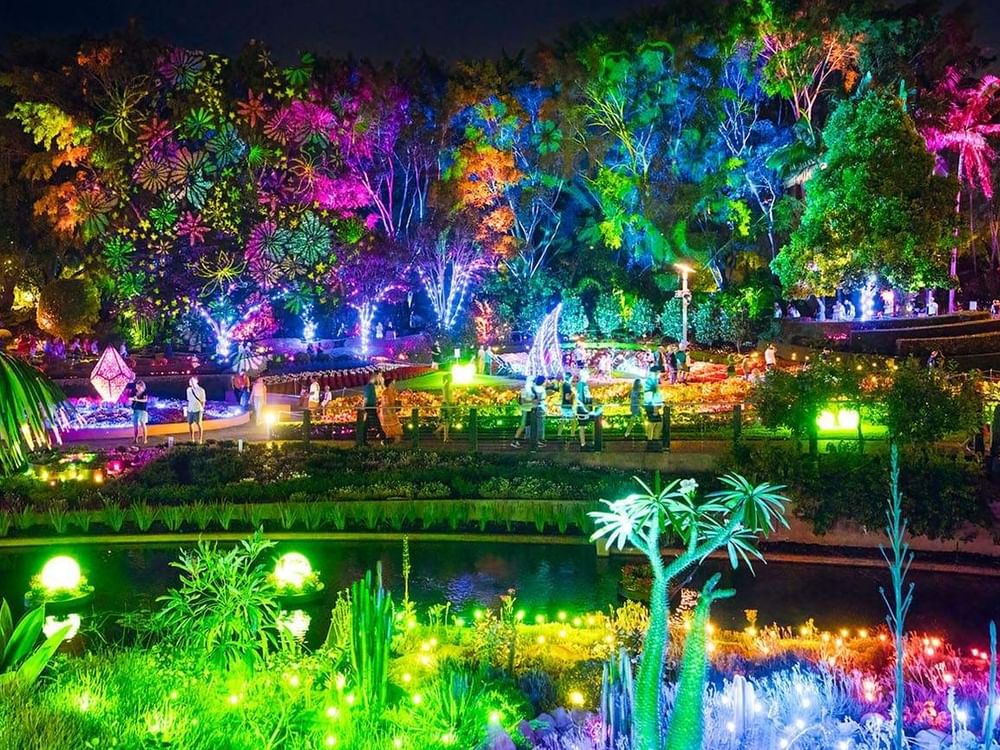 Vibrant multicolored lights illuminate trees and gardens reflected in a tranquil pond at a festive outdoor display.
