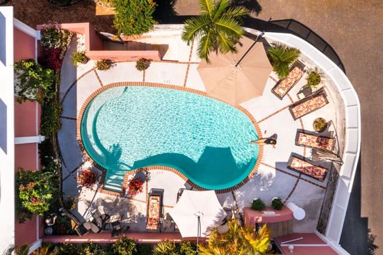 A relaxing pool scene with lounge chairs at Royal Palms Hotel