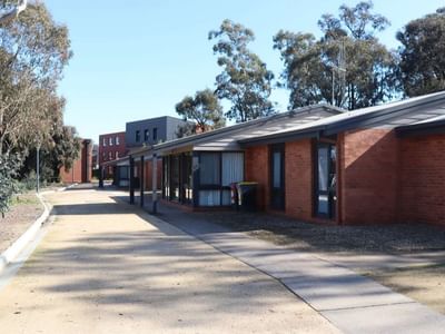 Row of brick buildings with flat roofs and glass doors, lined with trees on a sunny day.