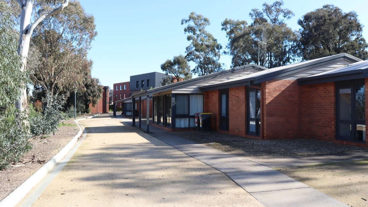 Row of brick buildings with flat roofs and glass doors, lined with trees on a sunny day.