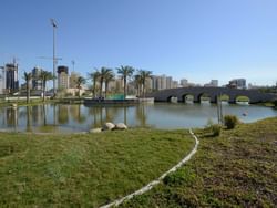 Lake in Boulevard Park near The Regency Hotel